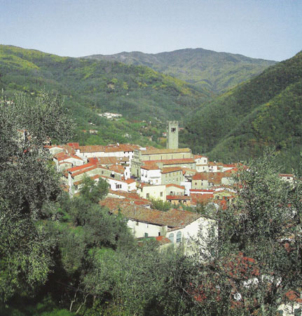 villabasilica-63