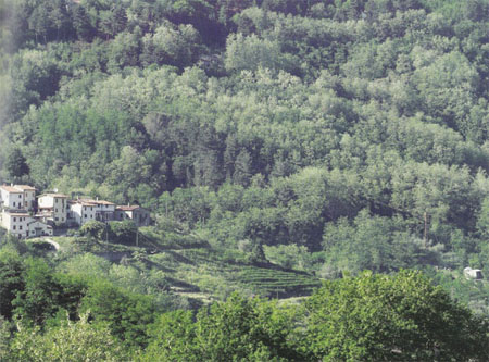 villabasilica-82