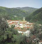 villabasilica-63